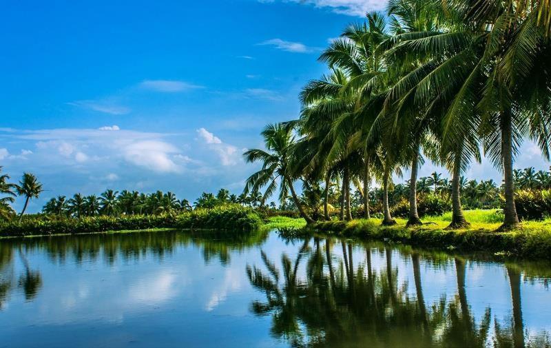 Sea Breeze Beach Home Alappuzha 외부 사진