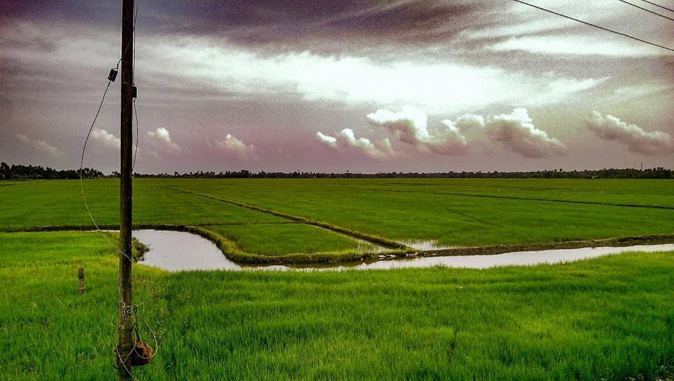 Sea Breeze Beach Home Alappuzha 외부 사진