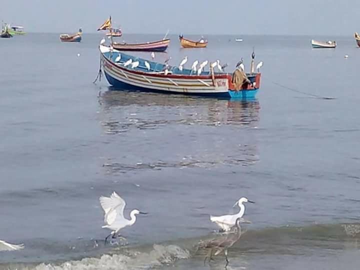 Sea Breeze Beach Home Alappuzha 외부 사진